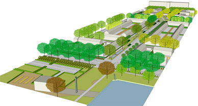 Perspectief groenstrook